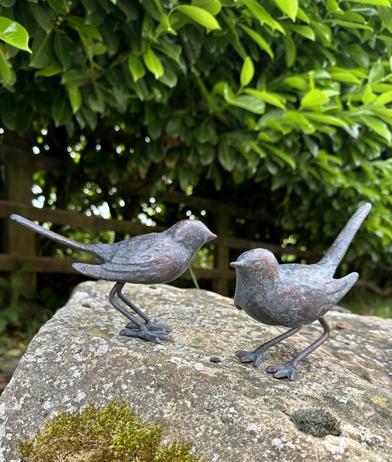 Picture 13 of 19