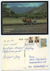 23821 - Indonesien - Traditional Farmer - Ansichtskarte, gelaufen 31.3.1990