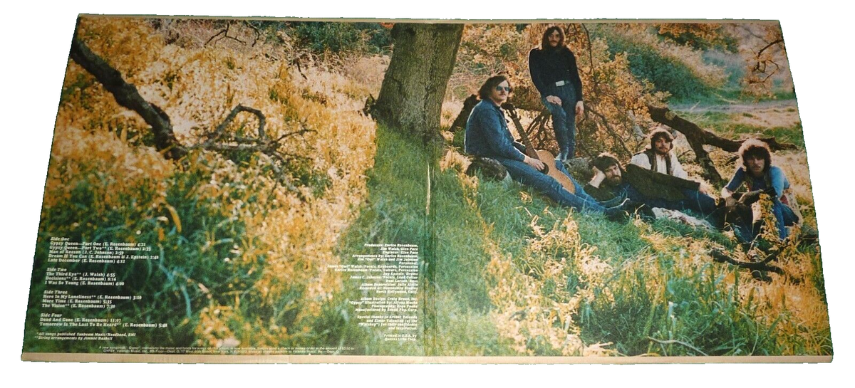 2 x VINYL LP by GYPSY 