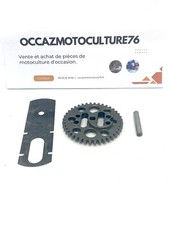 Pignon, Taille Haie Husqvarna 122HD60