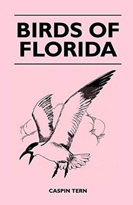 Tern - Birds of Florida - paperback or softback - 08 - X555z