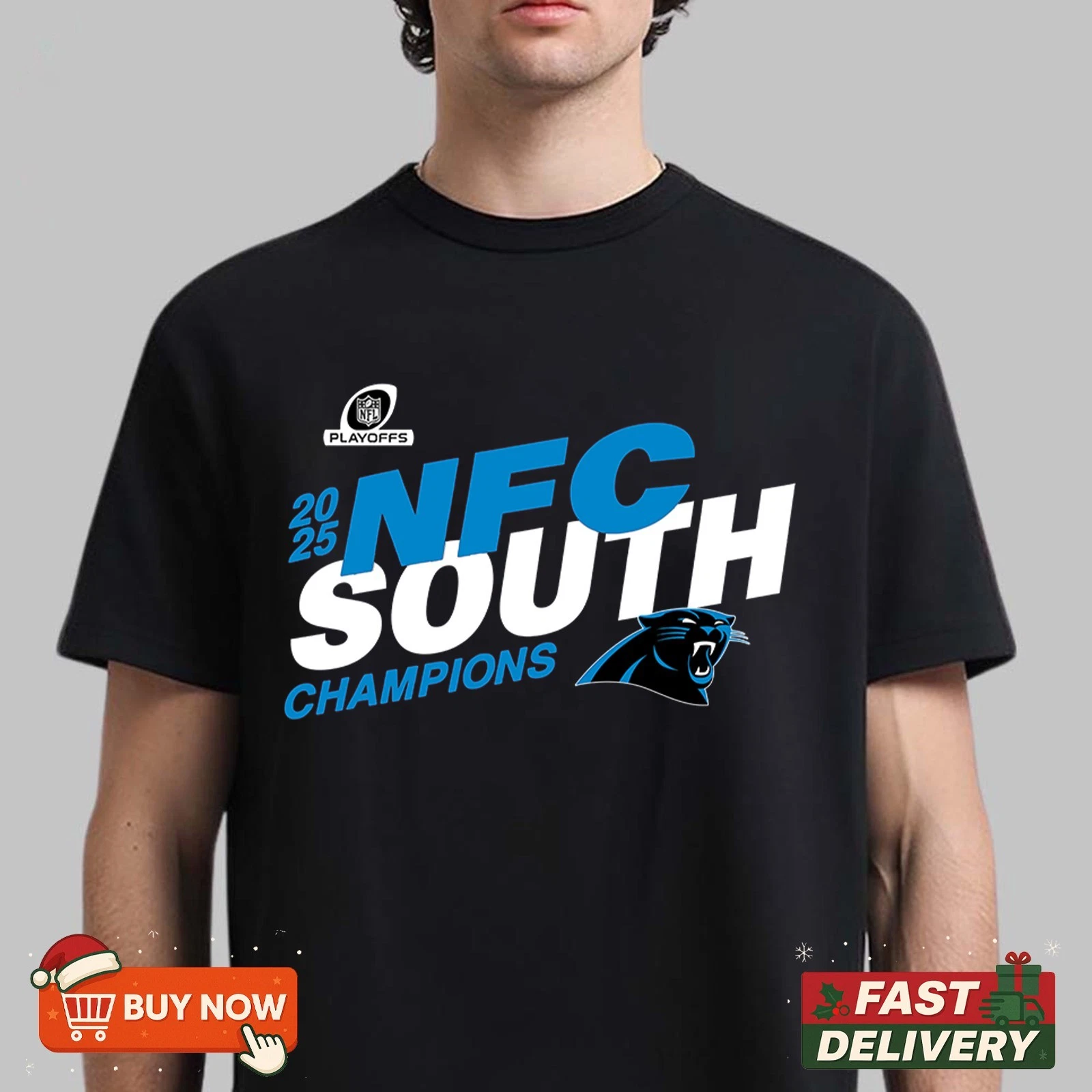 Carolina Panthers NFC South Champions 2025 TShirt