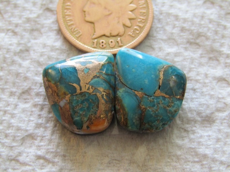2 Spiny Oyster Shell Mojave Turquoise Cabs 20 carats Orange Red Blue Cabochons