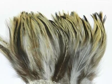 NATURAL BADGER NECK HACKLE FEATHERS FLY JIG TYING MATERIAL 3-4" or 4-6"