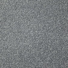 Apollo Plus Carpet- Homerton Grey  -6.5mm Pile- Free Delivery- Samples
