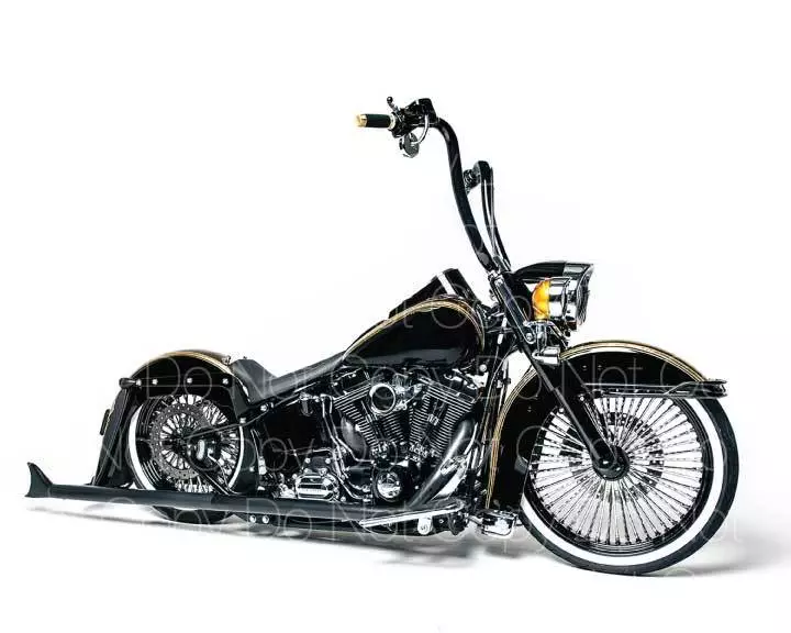 Harley Davidson Softail Custom Motorcycle 8X10 photo picture poster print RP