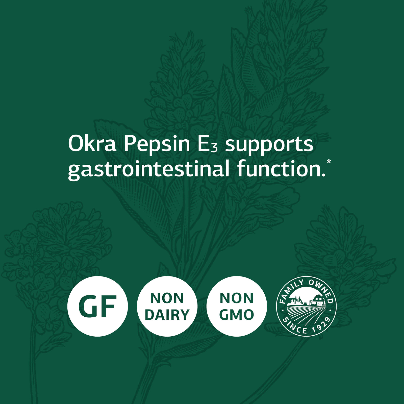 Standard Process Okra Pepsin E3 Whole Food Digestion, 90 Capsules eBay