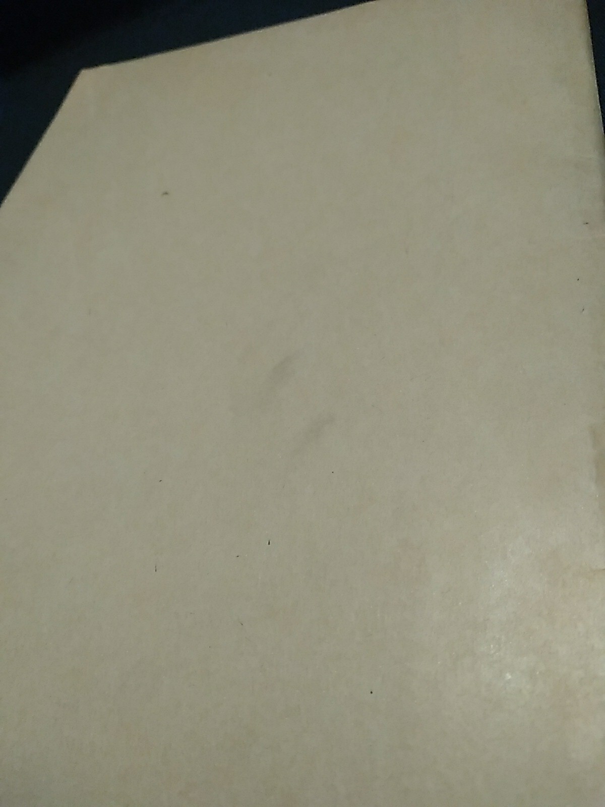 Picture 12 of 13