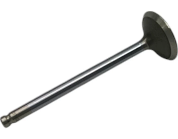 CADILLAC OLDSMOBILE 1993-1999 VÁLVULA ELDORADO EXH 12556458 - NUEVO Foto 4 de 4