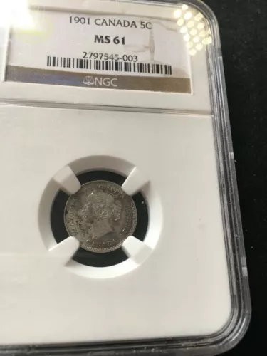 1901  NGC Graded Canadian Small Silver Five Cent, **MS-61** #003