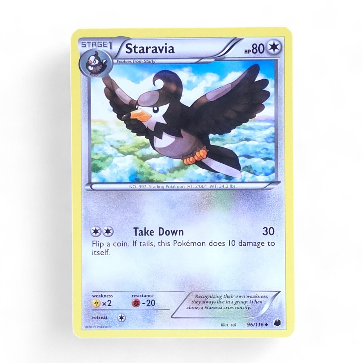 Staravia 96/116 Pokemon Plasma Freeze NM | eBay