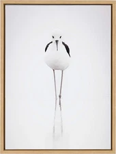 Kate and Laurel Sylvie Seagull Framed Canvas Wall Art by Simon Te of Tai Prints,