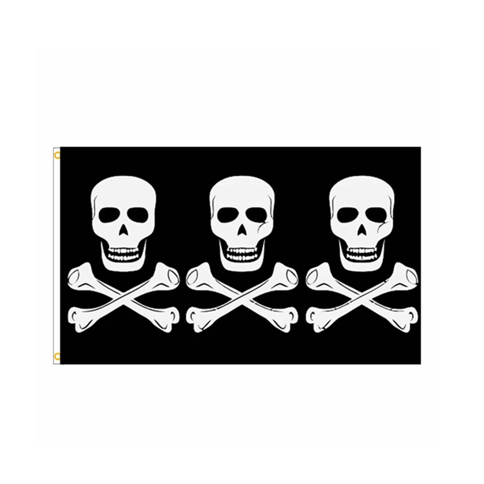 2 Stück Piratenflagge Mit Totenkopf – 30x45 Cm, Polyester, Inkl. Stock (60 Cm) Für Halloween & Partys