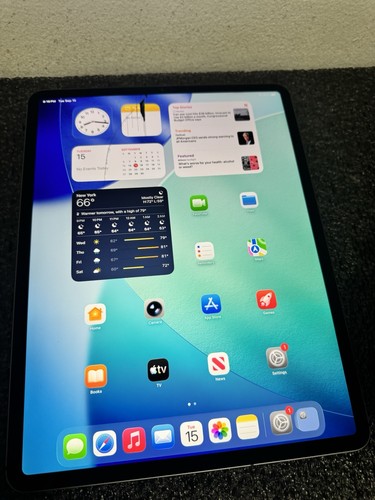 Apple IPad Pro 12.9" 4th Gen 256GB (Unlocked) A2069 - BAD LCD