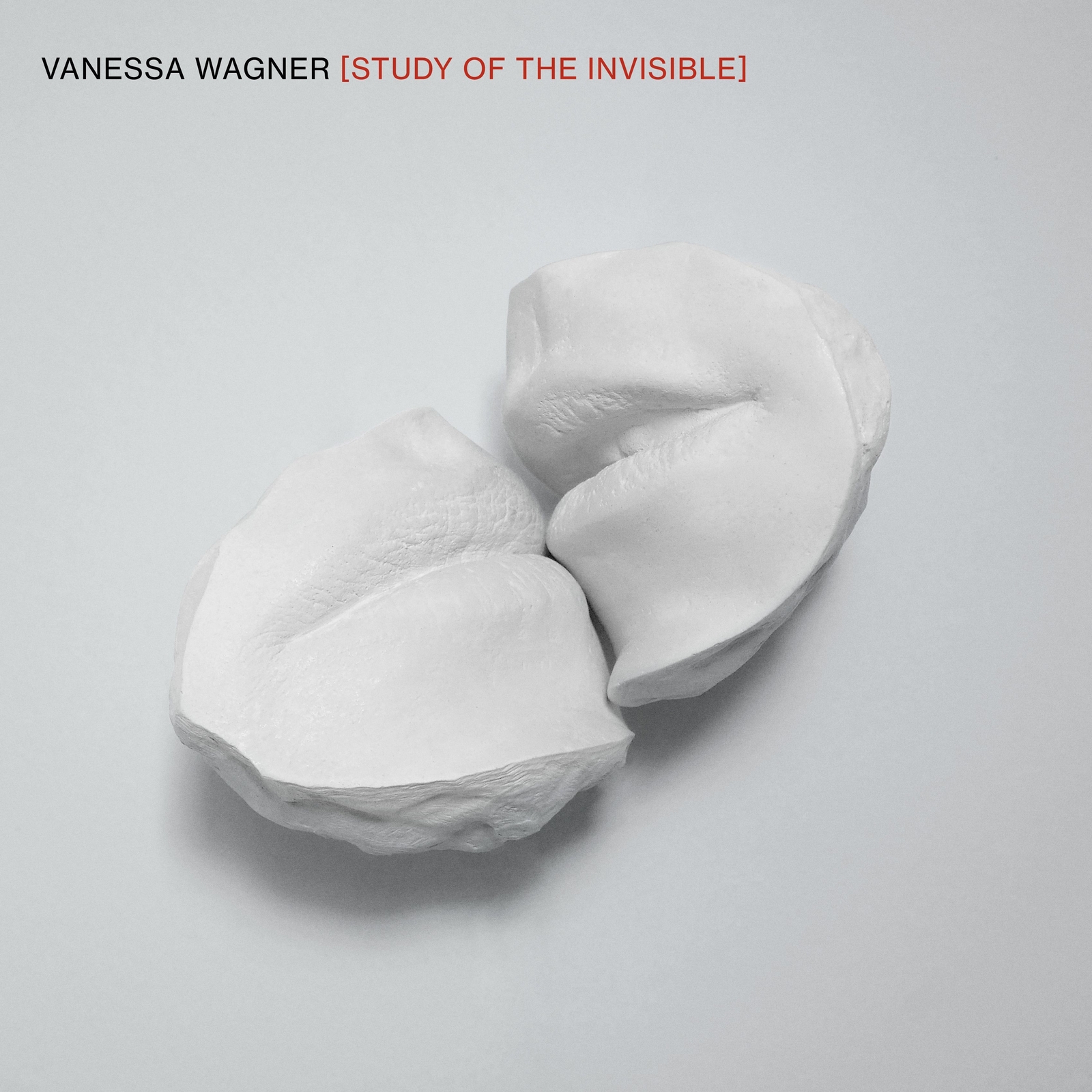 Vanessa Wagner Vanessa Wagner: Study of the Invisible (Vinyl LP) 12" Album