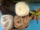 Bild 58 von 69