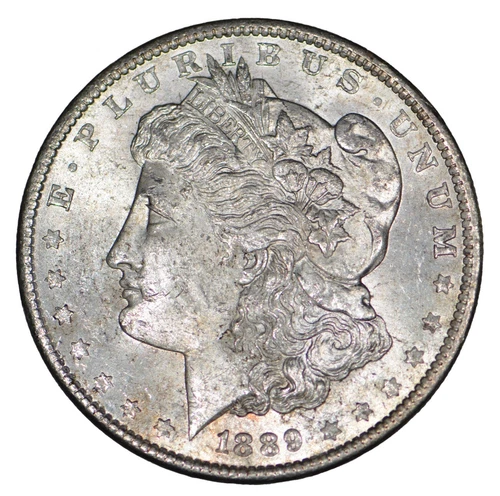 1889 Morgan Silver Dollar ~ Uncirculated