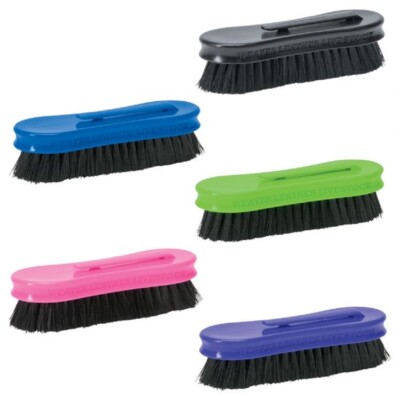 Weaver Livestock PIG FACE BRUSH w/ 1'' bristles pocket clip Show Ring 5 COLORS!