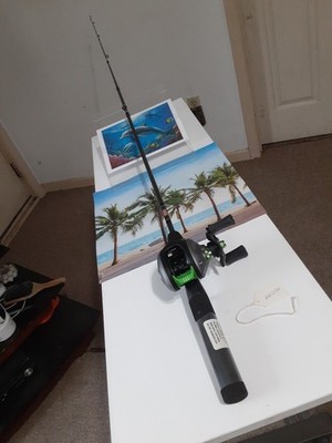 Baitcasting Fishing Rods Zebco 5'6'' ML 6-12lb And Reel