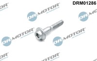 Dr.Motor Automotive DRM01286 Schraube, EinspritzdüSenhalter For Audi Seat Skoda