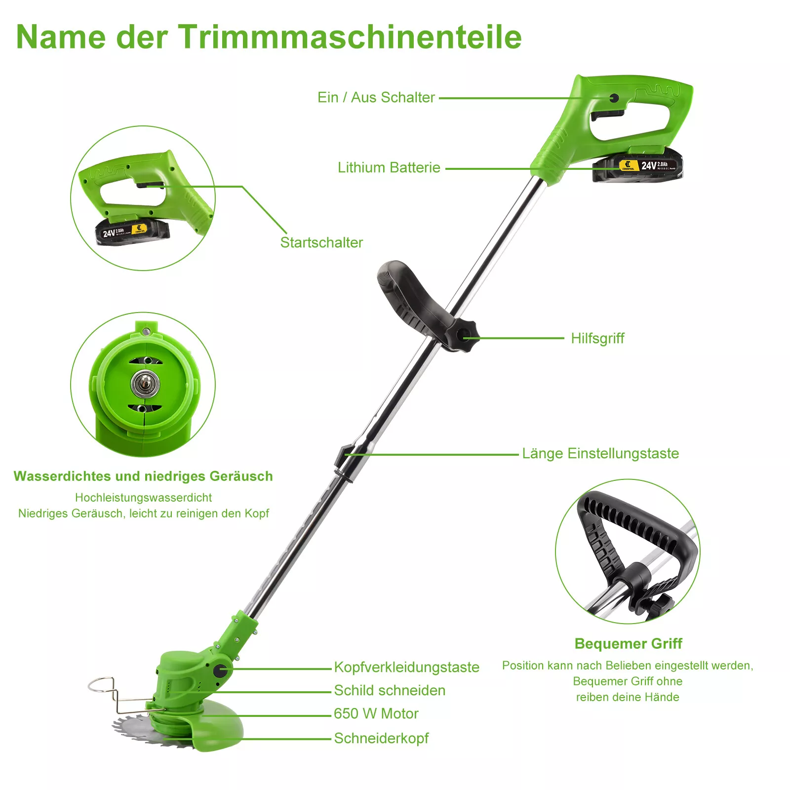 Bild 5 von 12