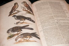 Siloé - Historieae Naturalis de Avibus - Facsimil