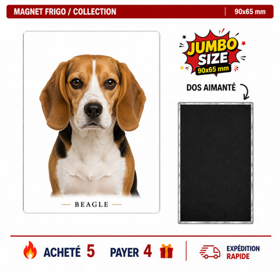 Magnet Beagle 90x65 mm Kühlschrank Kühlschrank Kühlschrankmagnet
