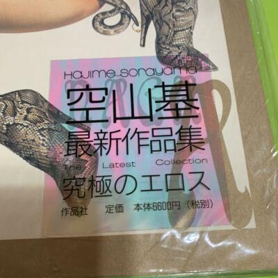 Hajime Sorayama NAGA Art Book 1997 japan rare | eBay