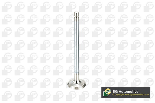 Auslassventil BGA V998717 FüR Partner Peugeot Tepee 207 308 106 SW 2E 2A 206 307-image