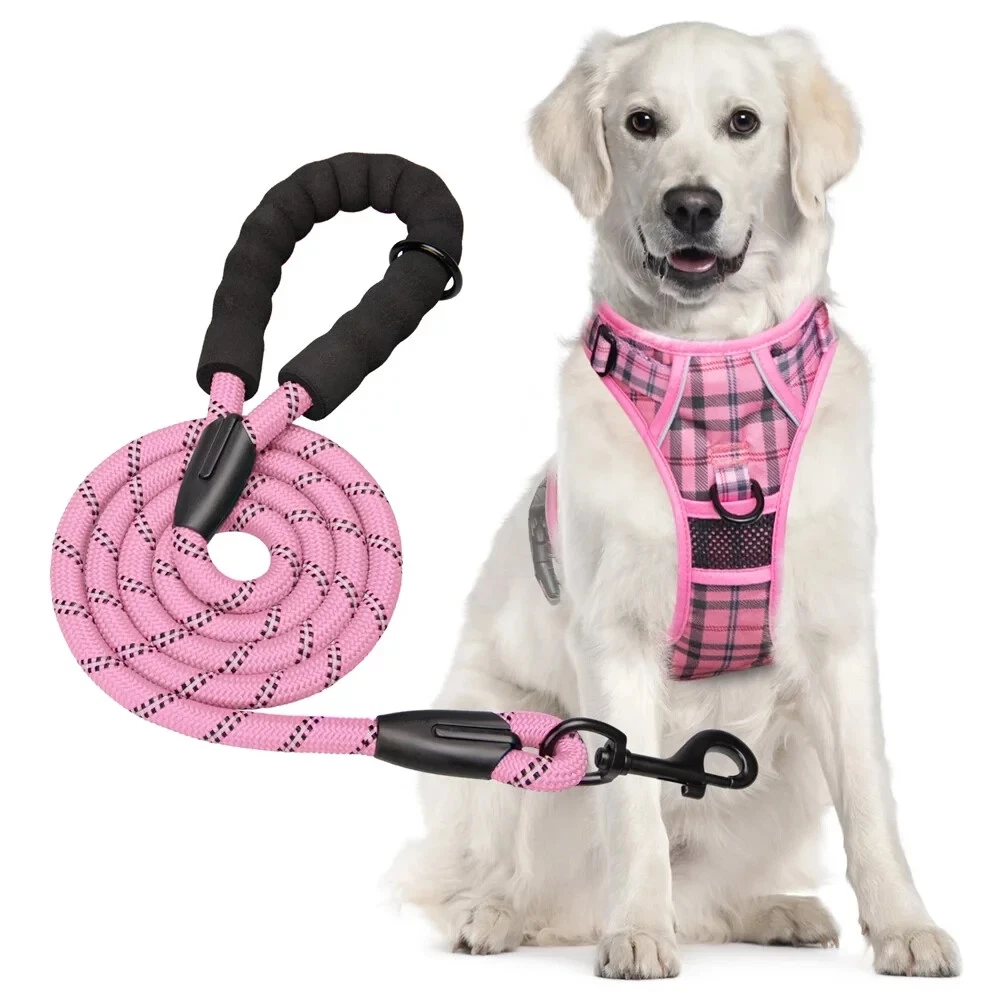 Poypet harness 2025