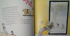 Foto 8 di 8