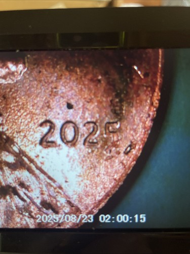 2025 penny error Die Chip By The Date And Double Ear Lobe And Nose Broadstruck - Picture 2 of 5