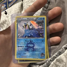 Pokémon TCG Magma And Aqua Cards