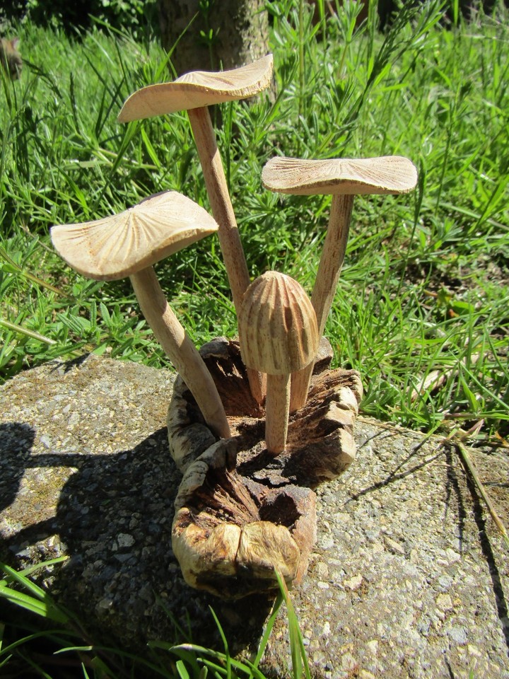 Figurine Grenouille Assise Sur Champignon – Bois Sculpté Main – Bali Indonésie