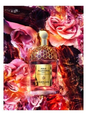 AQUA ALLEGORIA FORTE ROSA PALLISANDRO GUERLAIN-EDP-4.2 OZ-125 ML