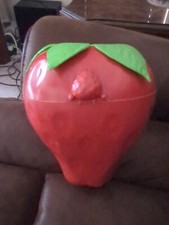 Strawberry Shortcake Storage Case Vintage 1980 s Free Shipping