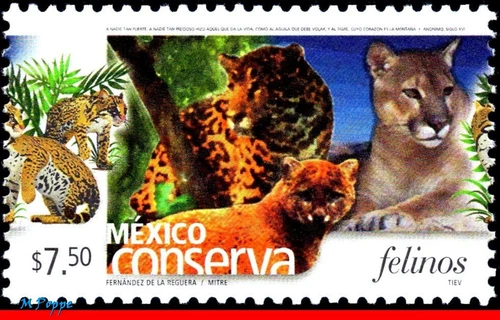 2424 MEXICO 2005 CONSERVATION, FELINES, CATS, (7.50P), MNH