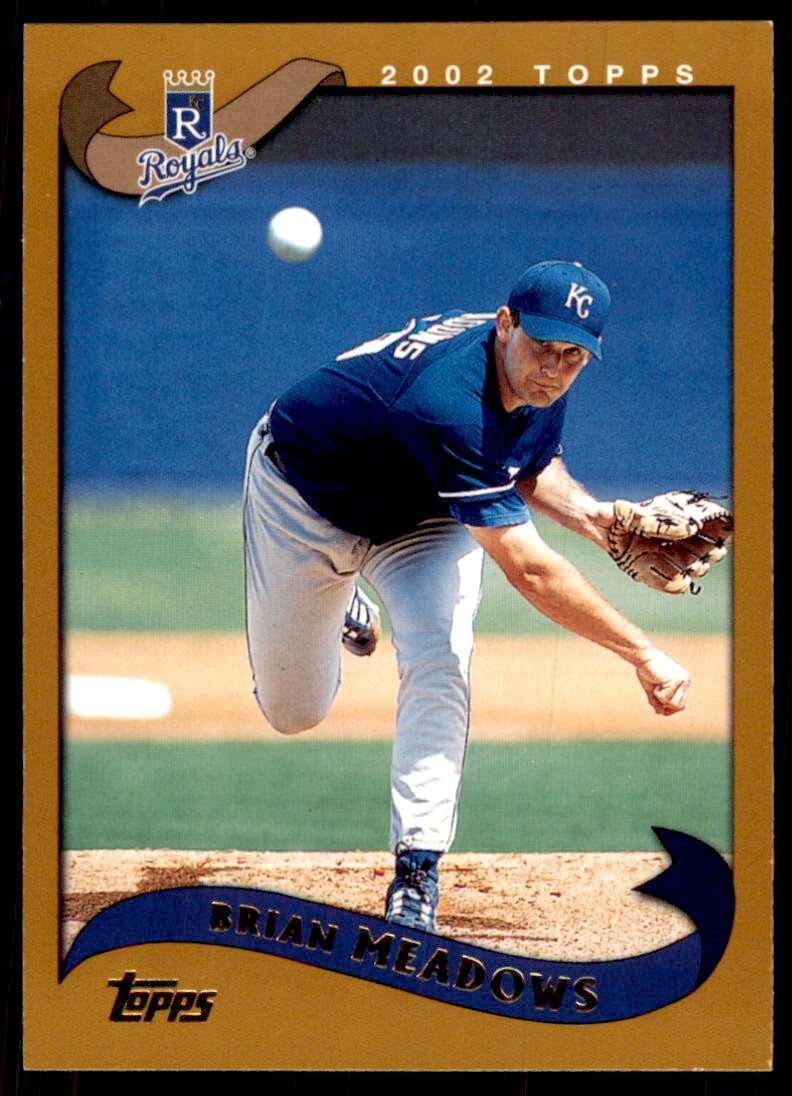 2002 Topps Baseball Card Brian Meadows C Baseball Cards #53