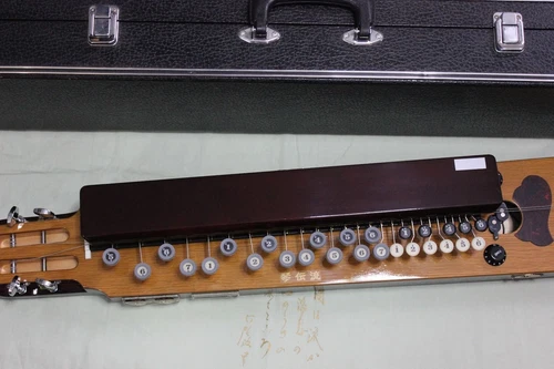 Gift Ideas: Kindenryu Momiji (Maple) Electric Taishogoto + Hard Case 