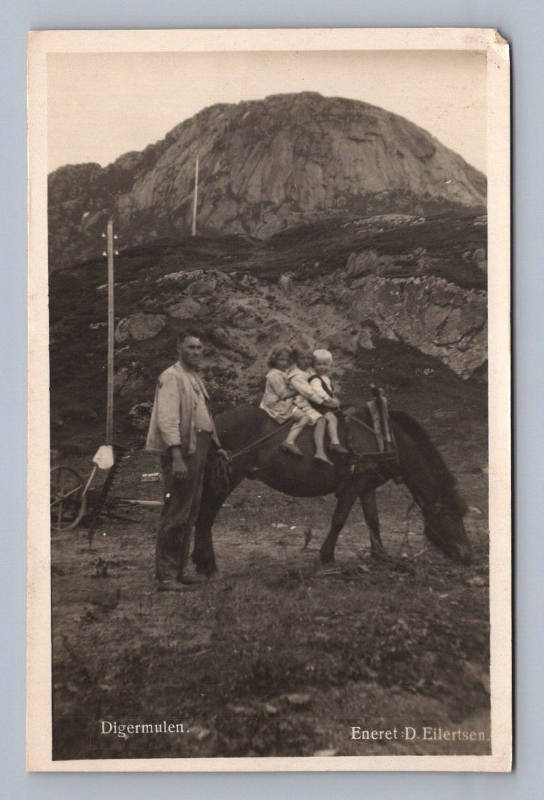 Antique Norway Postcard DIGERMULEN Lofoten Islands Horse 1910 RPPC