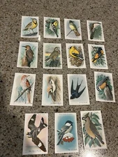 Useful Birds Of America Arm And Hammer And Cow Brand Baking Soda 15 Cards