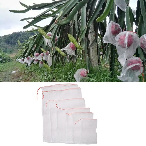 50Pcs Garden Plant Fruit Protect Bag Sac Net Mesh Against Insect Pest Bird NEW