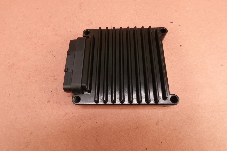 Harley-Davidson Sportster Iron 883 XL883N 2009-2021 computadora CDI ECU caja ECM Foto 3 de 4