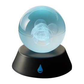 Nintendo Switch Pokemon FireRed Special Edition 30th Poke Ball Set