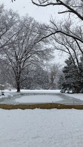 lowest price online sale Backyard Outdoor Nice Rink Ice 