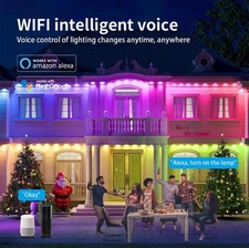 Permanent Outdoor Lights,LED RGB Eaves Lights w/App Control Remote Party Decor A