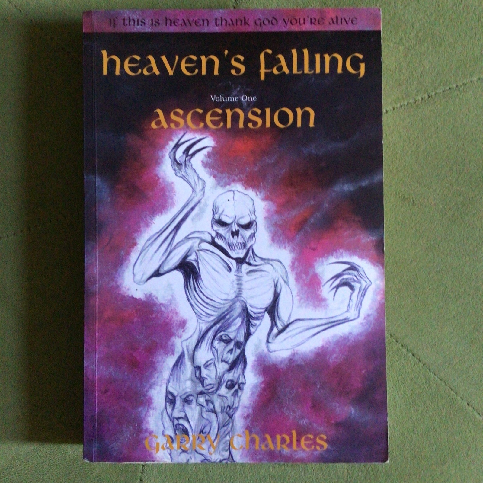 Heaven's Falling: v. 1: Ascension by Garry Charles (Paperback, 2006) SIGNED
