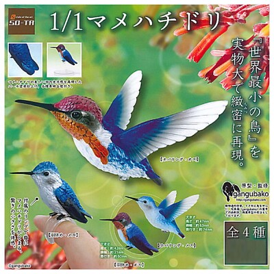 1/1 bee hummingbird SO-TA Capsule Toy 4 Types Full Comp Set Bird New Japan