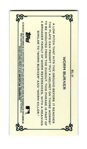 2022 Topps Allen and Ginter Chrome Mini Baseball Lexicon #BL3 Worm Burner - Picture 2 of 2