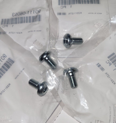 304 Stainless Steel Fender Bolt Screw Kit For Banshee, Blaster, Warrior, Raptor – Replaces OEM 90149-06306